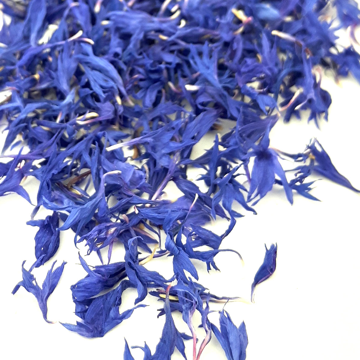 Kornblumen Blau handsortiert